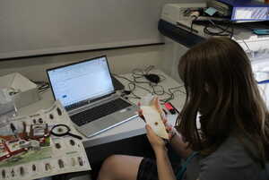 Looking at bug traps person sitting in a chair looking at a insect stuck to a cardboard pest trap