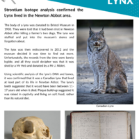 Lynx-1.png