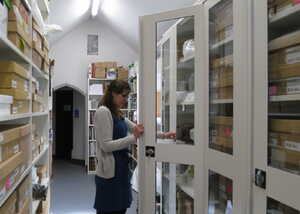 Two people stand in a museum, with exhibits and artifacts displayed in the background.