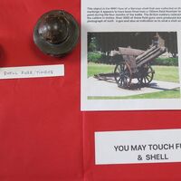 shells-scaled-1.jpg