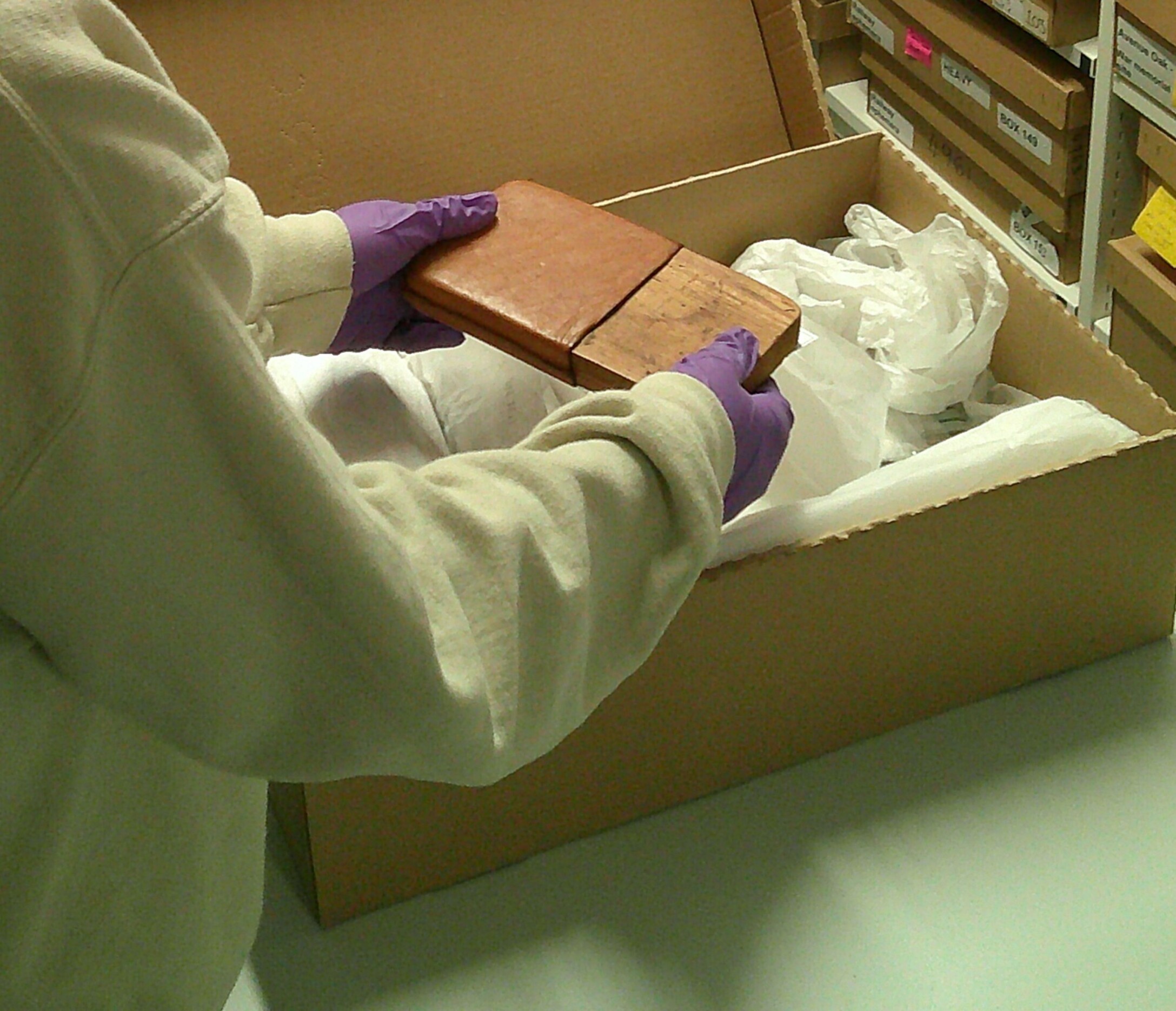A person wearing purple nitrile gloves holding an object that has been taken out of one of the boxes containing objects from the museum collection